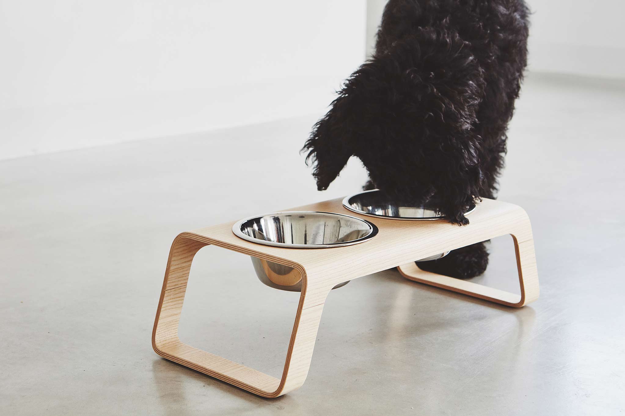 Desco Dog Feeder - MiaCara
