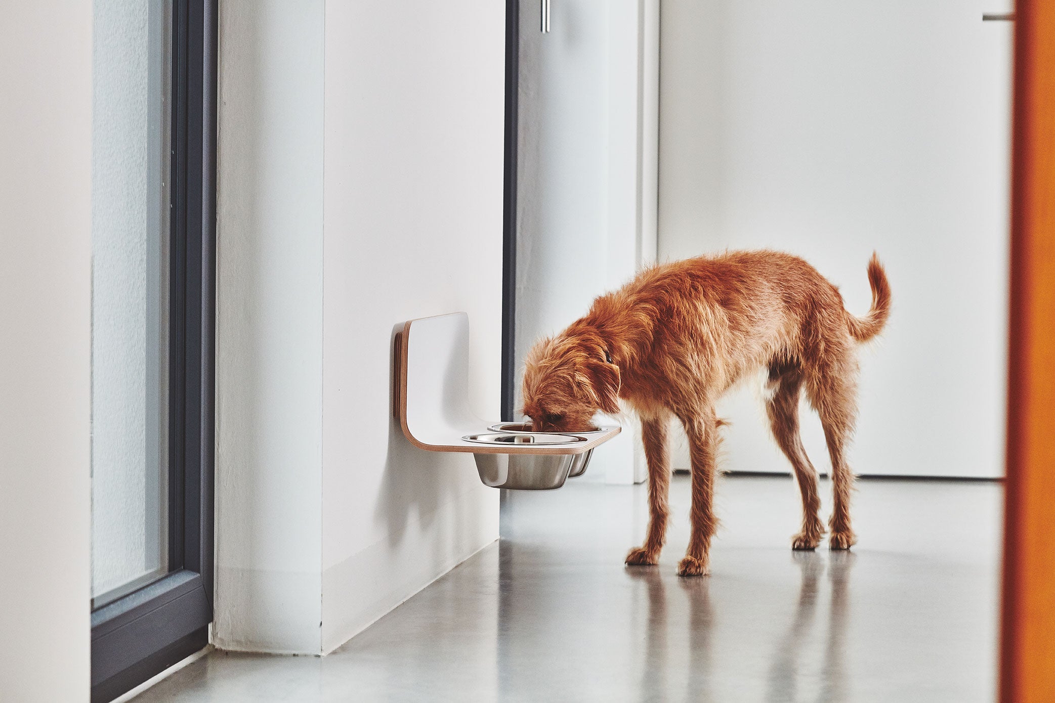Arco Dog Feeder  - MiaCara