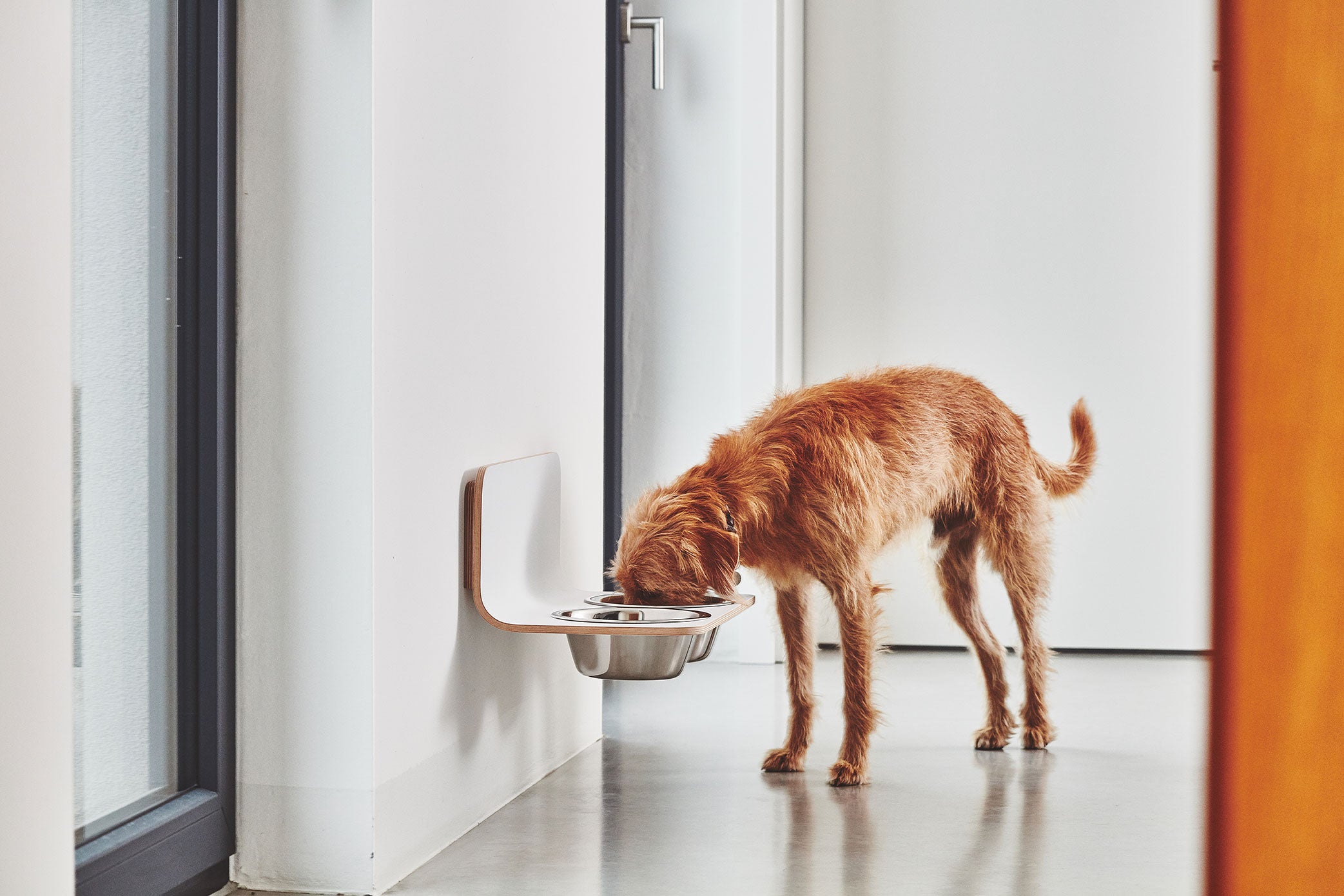 Arco Dog Feeder  - MiaCara