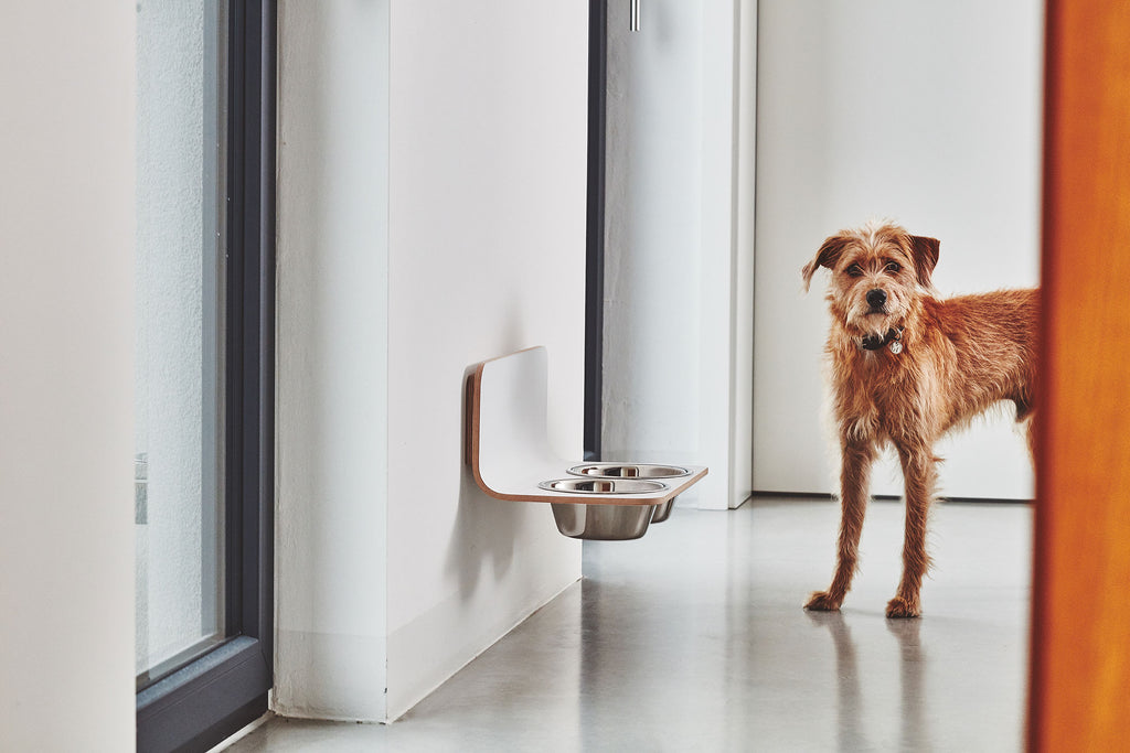 Arco Dog Feeder  - MiaCara