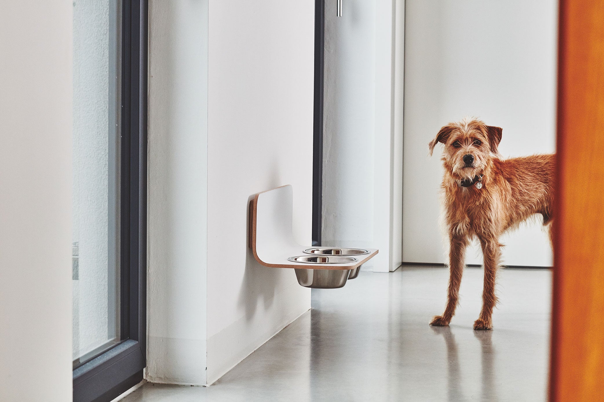 Arco Dog Feeder  - MiaCara