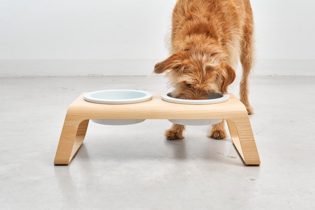 Desco Dog Feeder - MiaCara