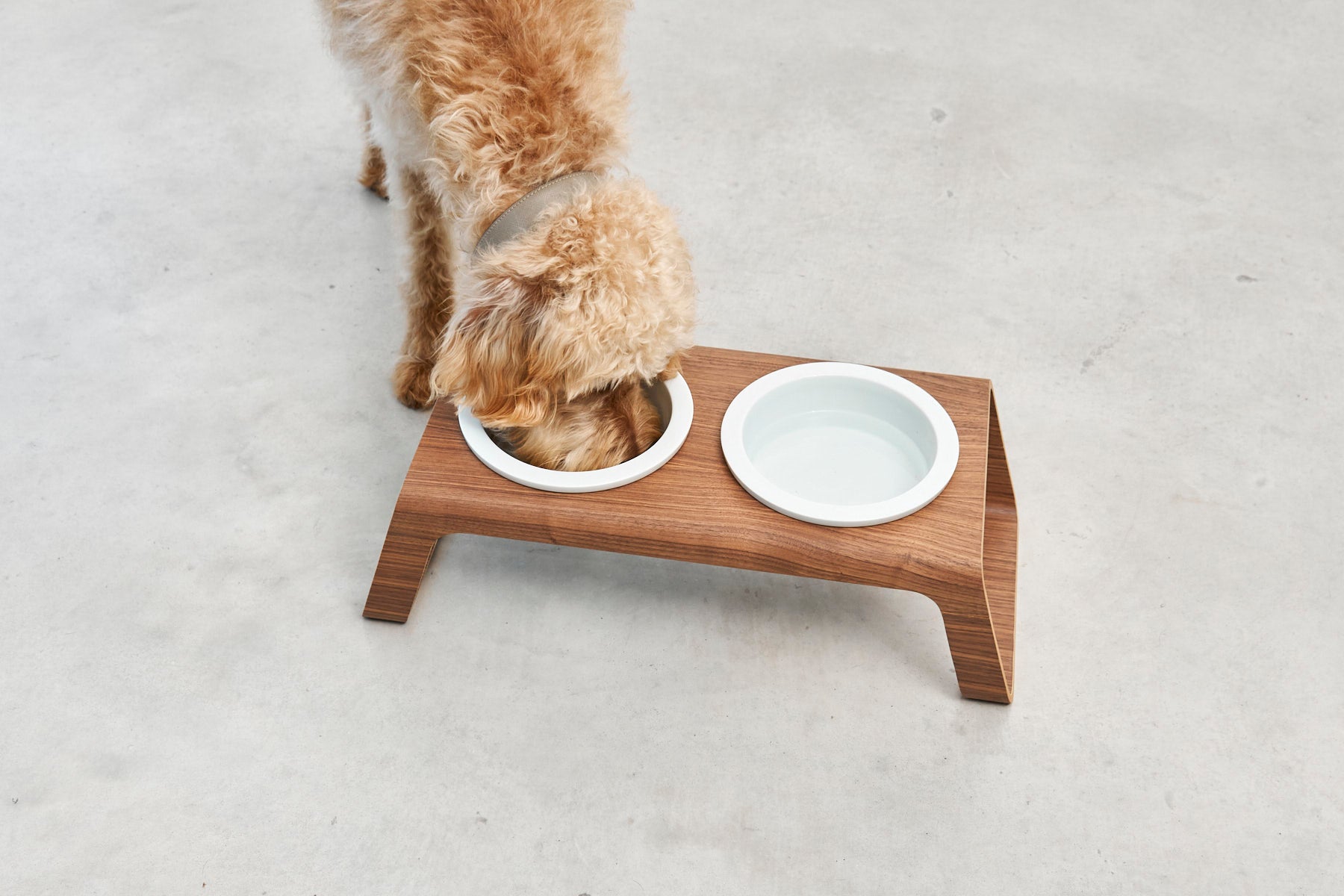 Desco Dog Feeder - MiaCara