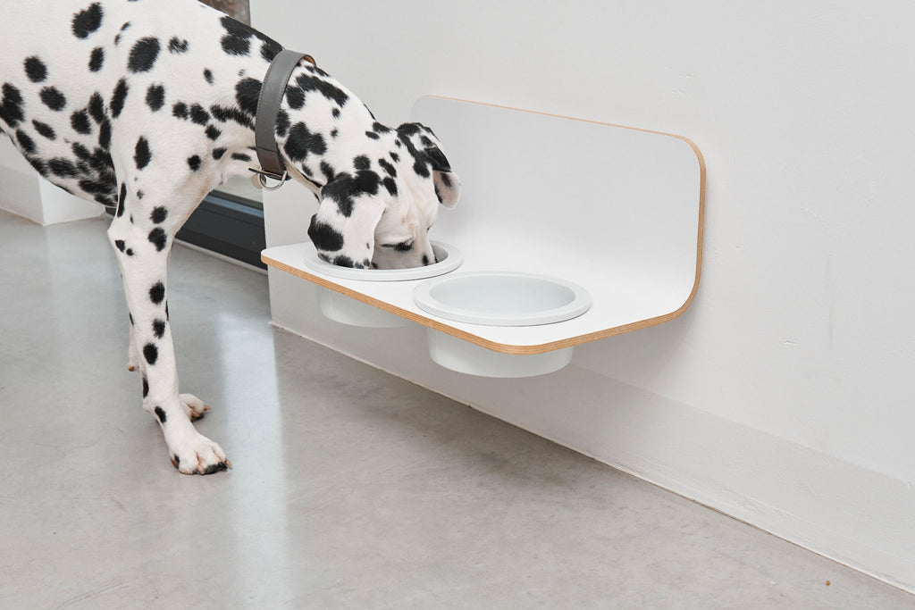 Arco Dog Feeder  - MiaCara