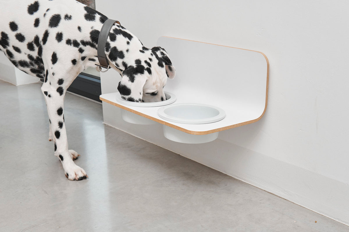 Arco Dog Feeder  - MiaCara
