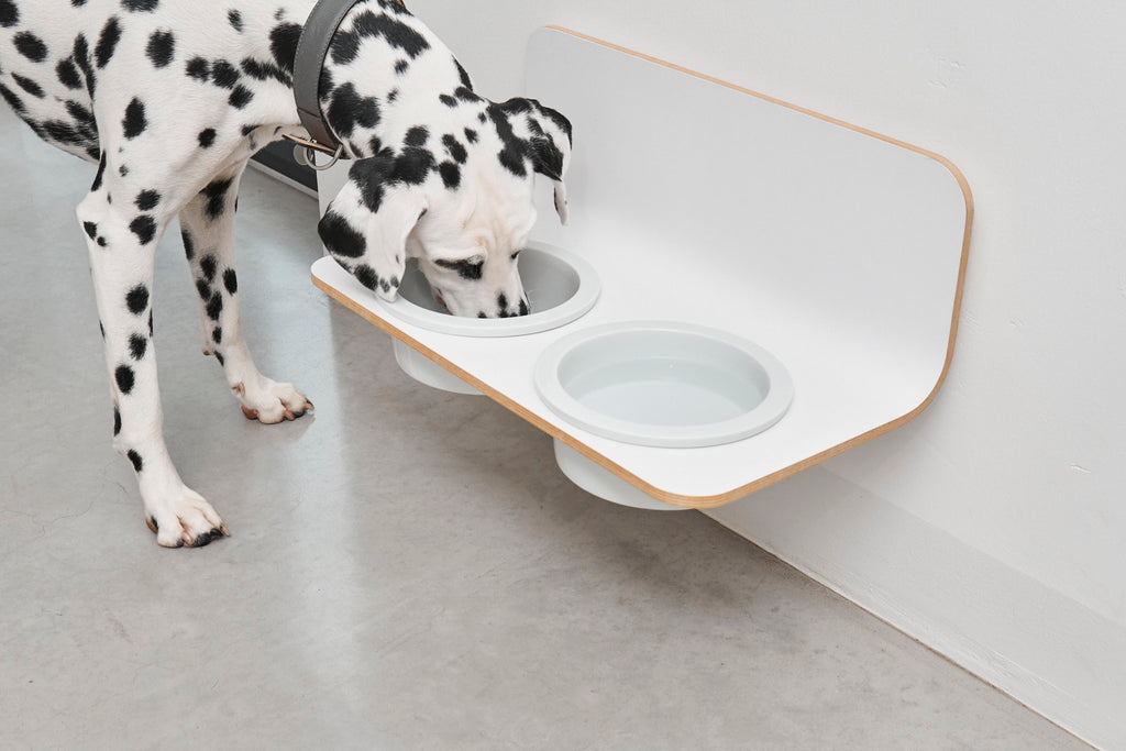 Arco Dog Feeder  - MiaCara