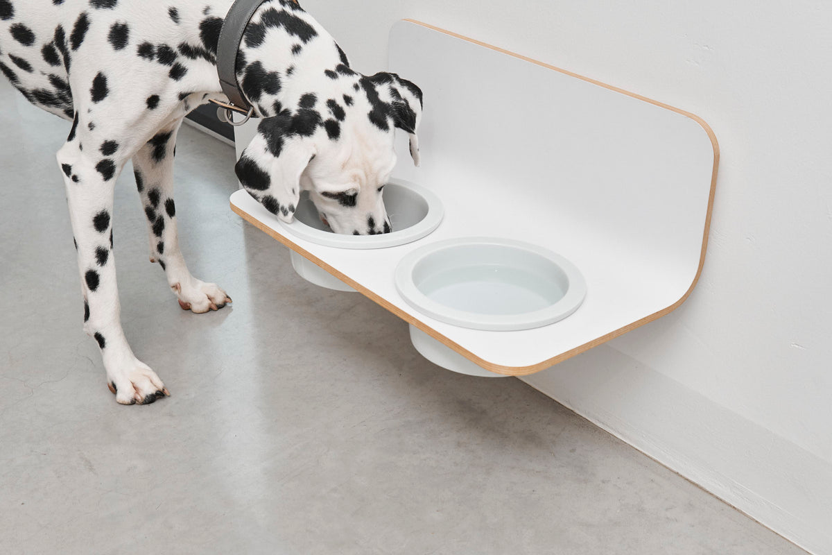 Arco Dog Feeder  - MiaCara