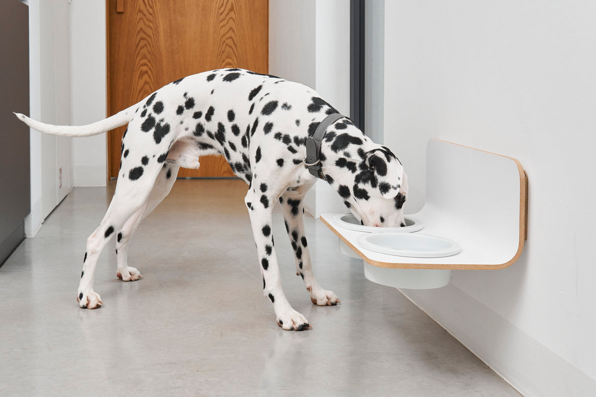 Arco Dog Feeder  - MiaCara