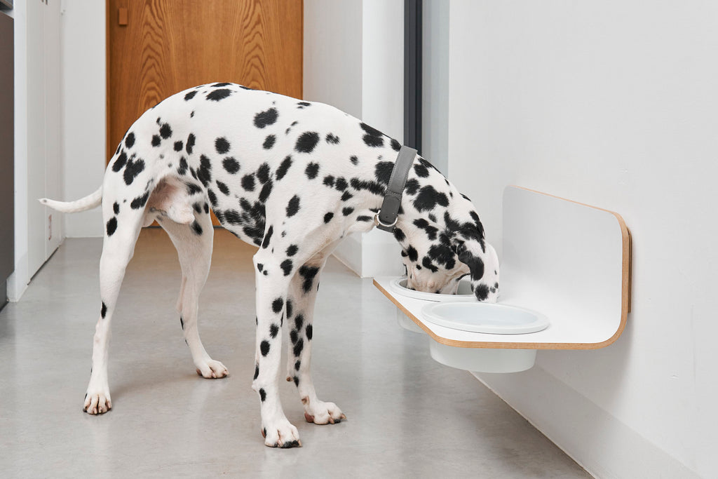 Arco Dog Feeder  - MiaCara