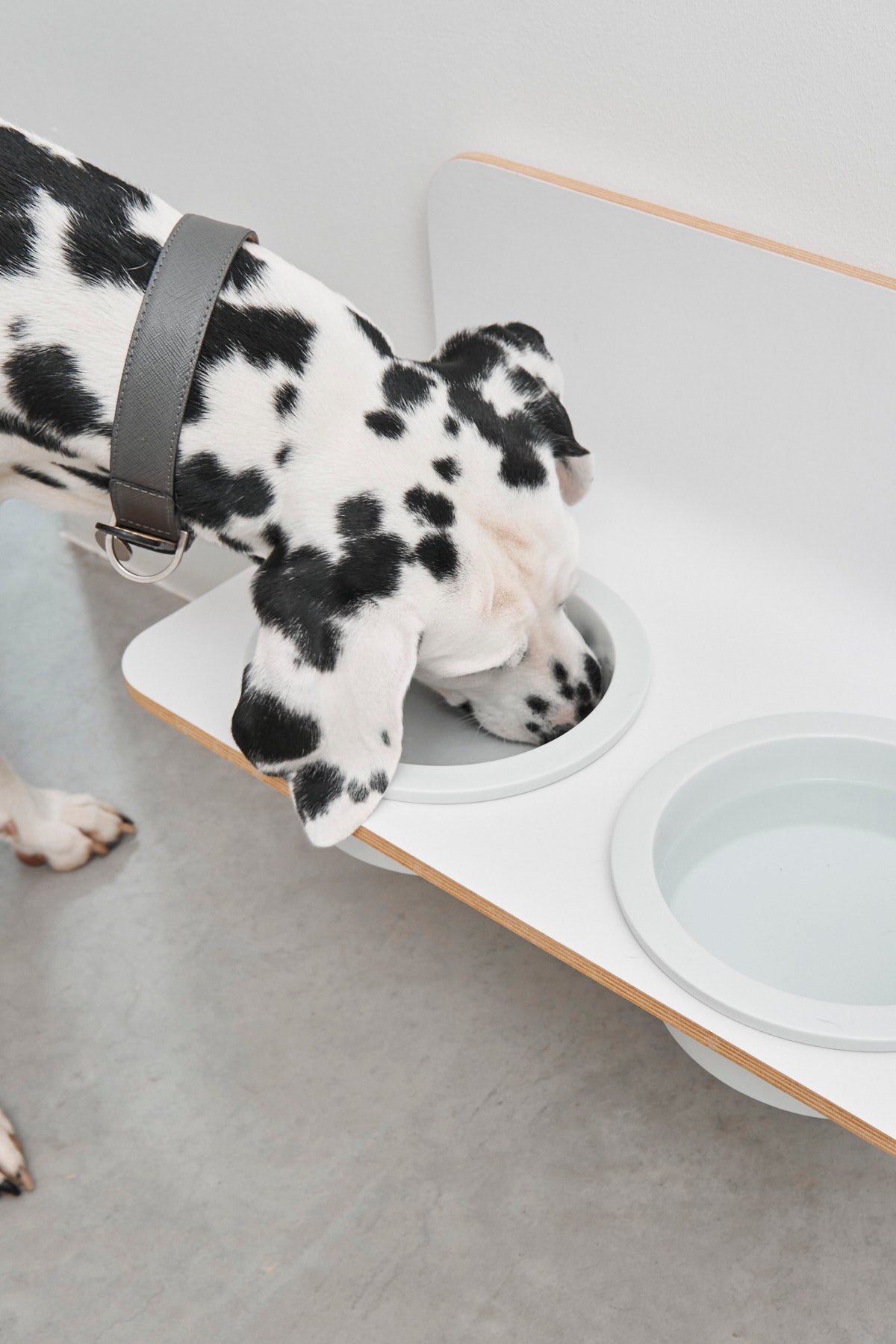 Arco Dog Feeder  - MiaCara