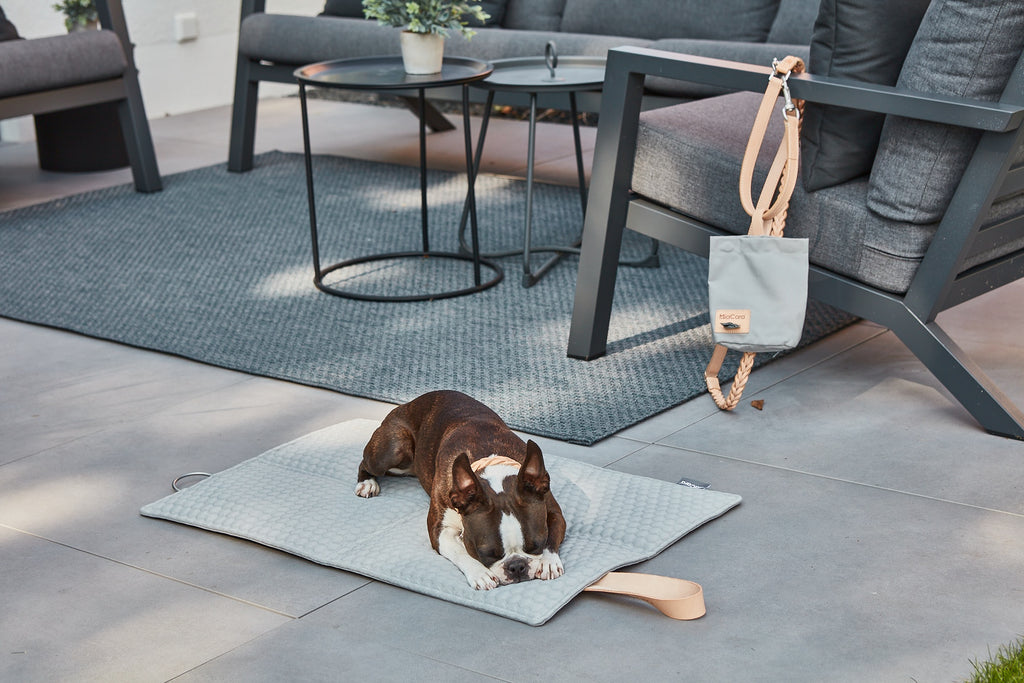 Cosmo Favo Dog Bed - MiaCara