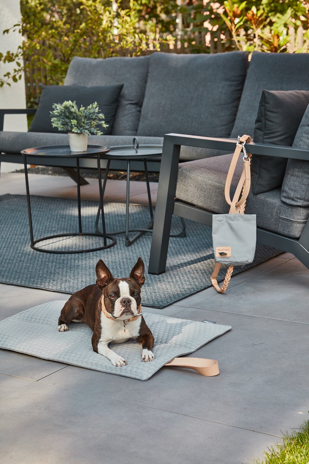 Cosmo Favo Dog Bed - MiaCara