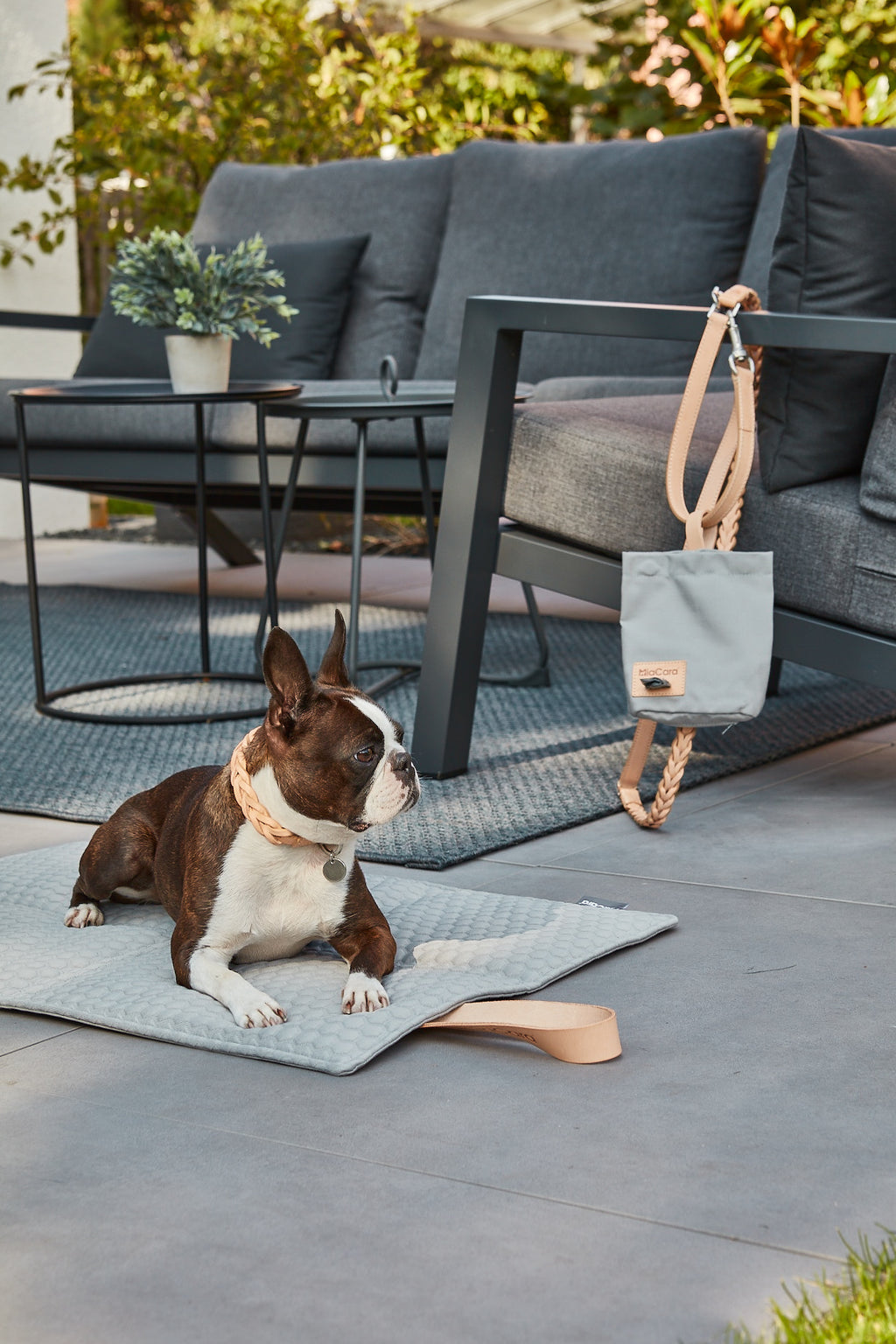Cosmo Favo Dog Bed - MiaCara
