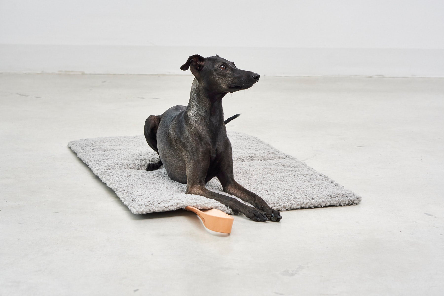 Cosmo Senso Dog Bed - MiaCara