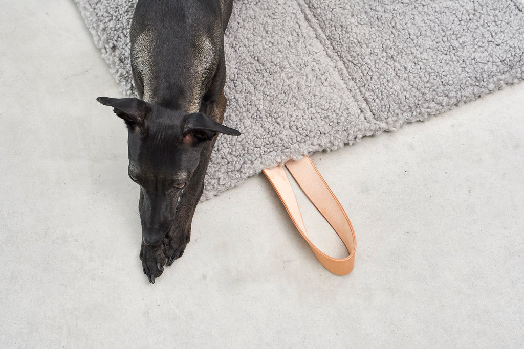 Cosmo Senso Dog Bed - MiaCara