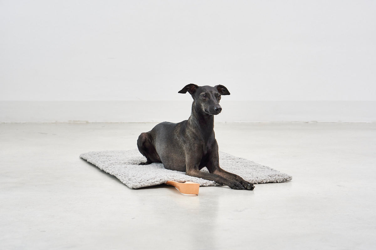 Cosmo Senso Dog Bed - MiaCara