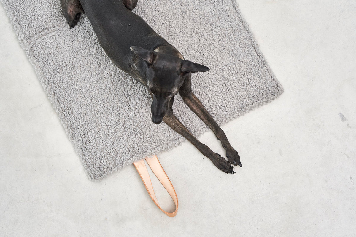 Cosmo Senso Dog Bed - MiaCara