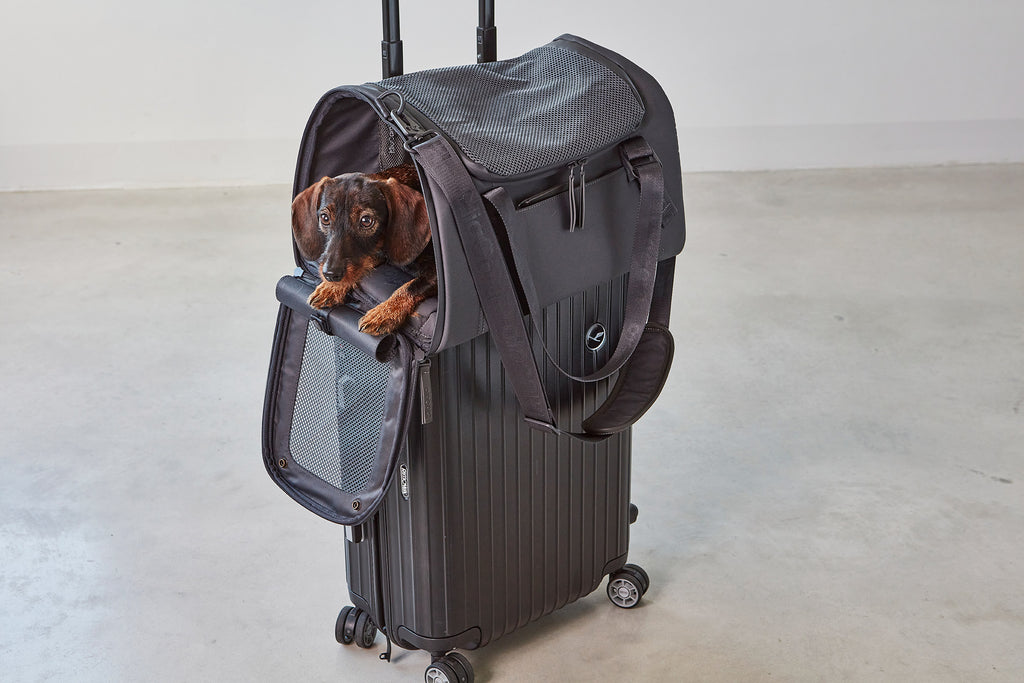 Volata Air Travel Dog Carrier - MiaCara