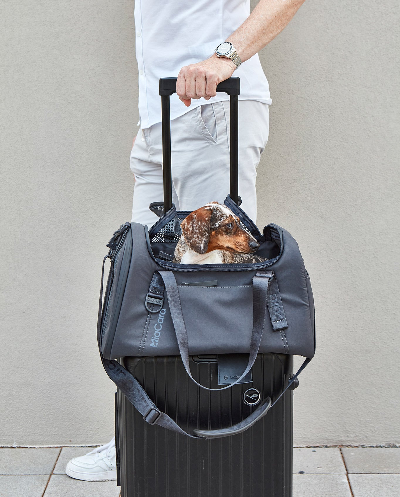 Volata Air Travel Dog Carrier - MiaCara