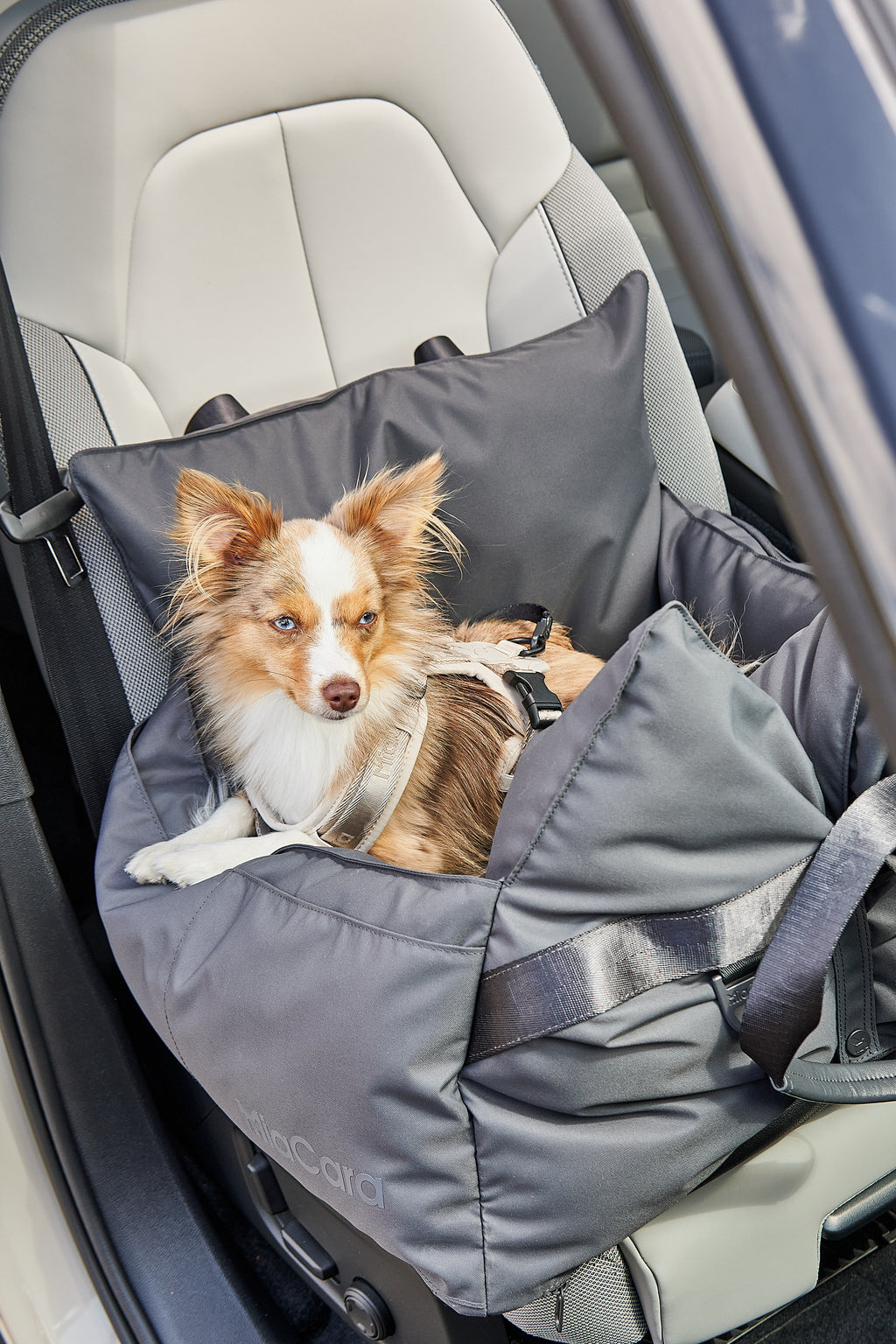 Viaggio Travel Bed - MiaCara