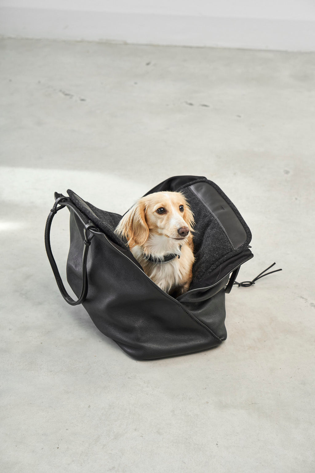 Borsa Dog Carrier - MiaCara