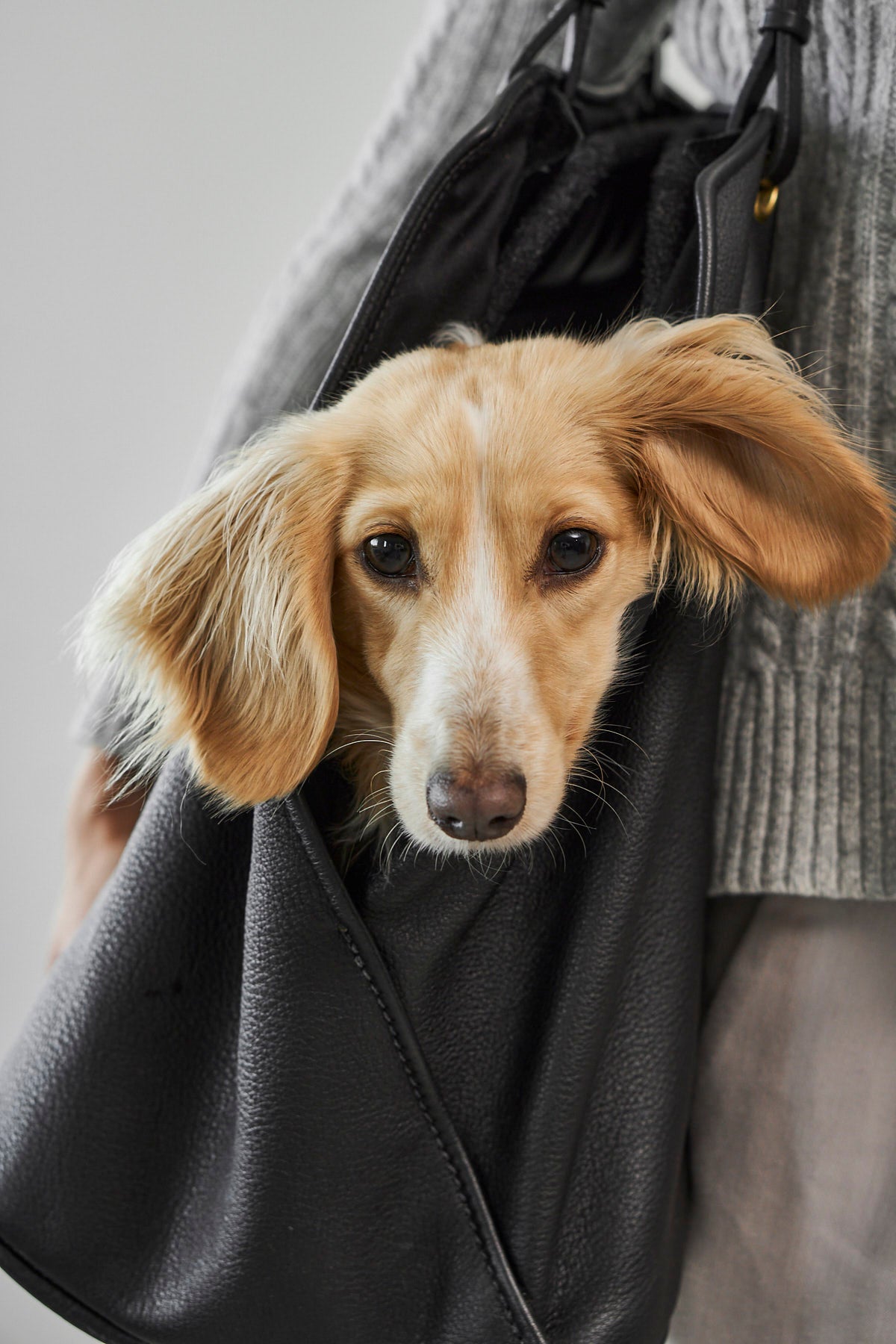 Borsa Dog Carrier - MiaCara