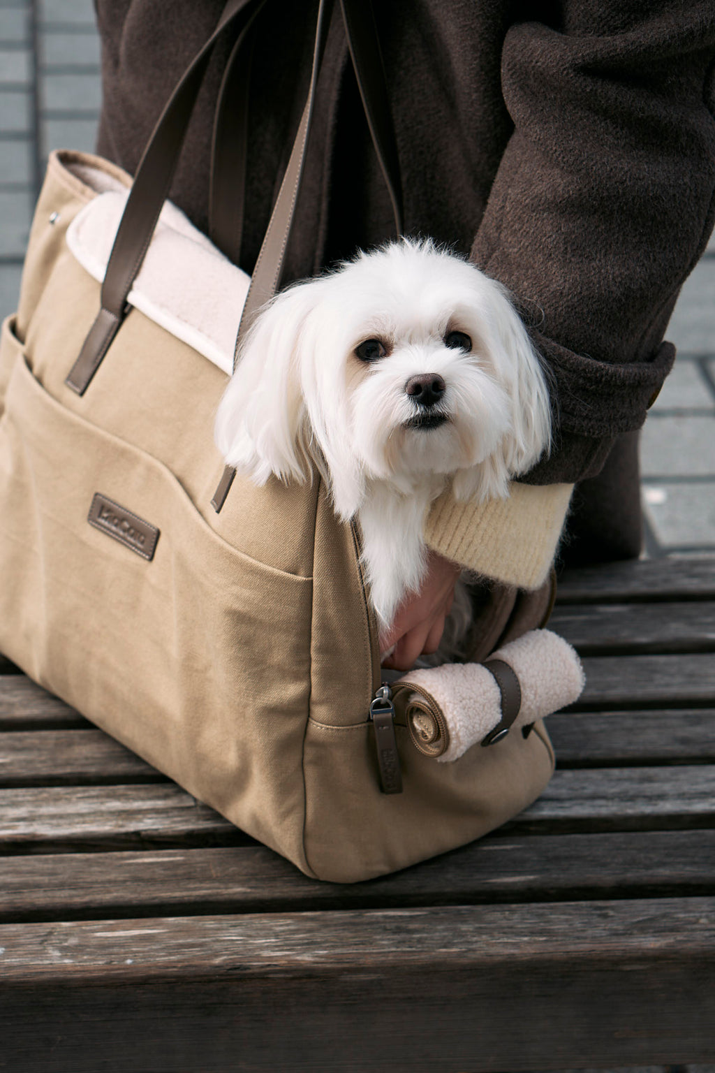 Tasca Dog Carrier - MiaCara