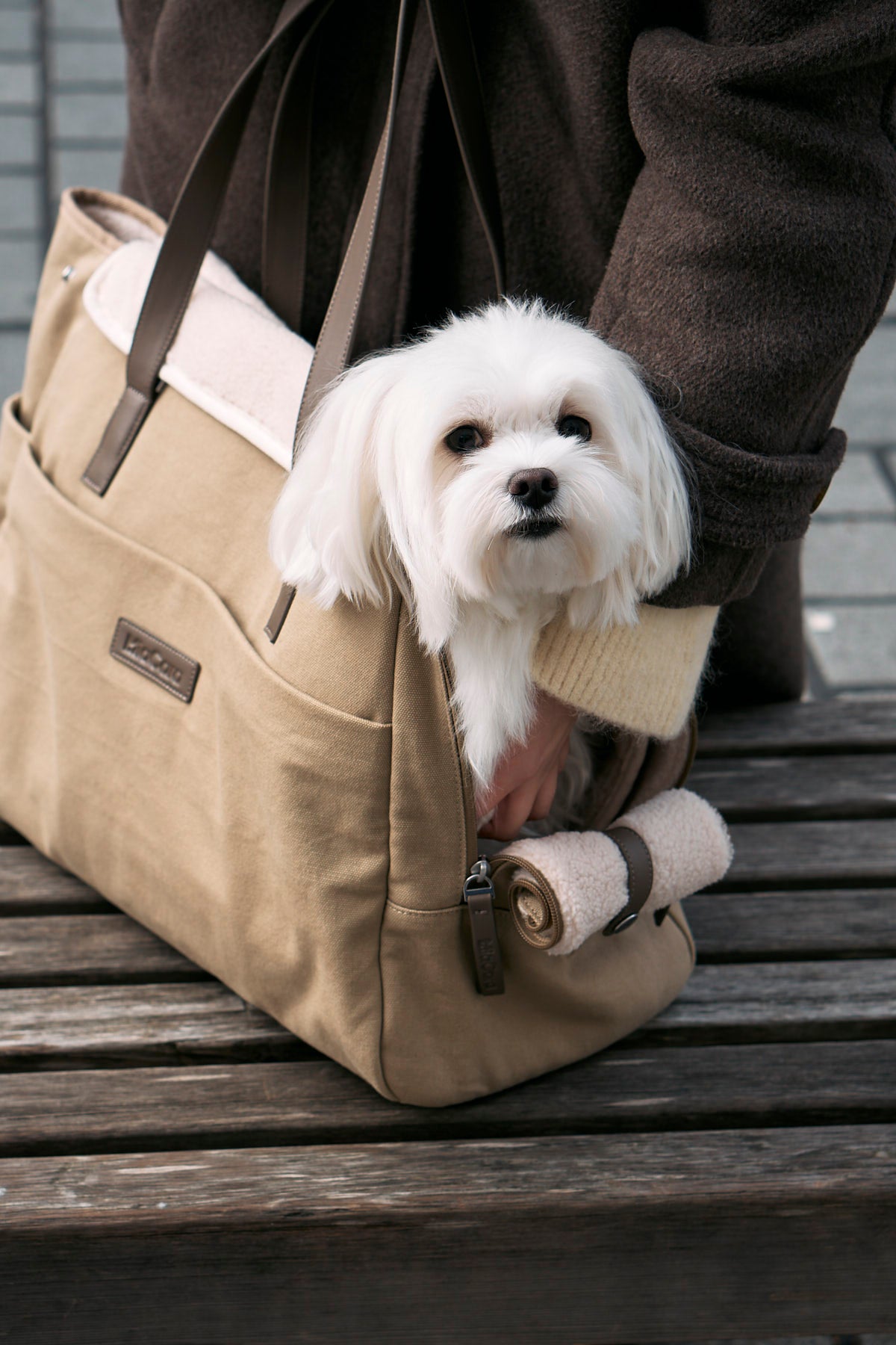 Tasca Dog Carrier - MiaCara