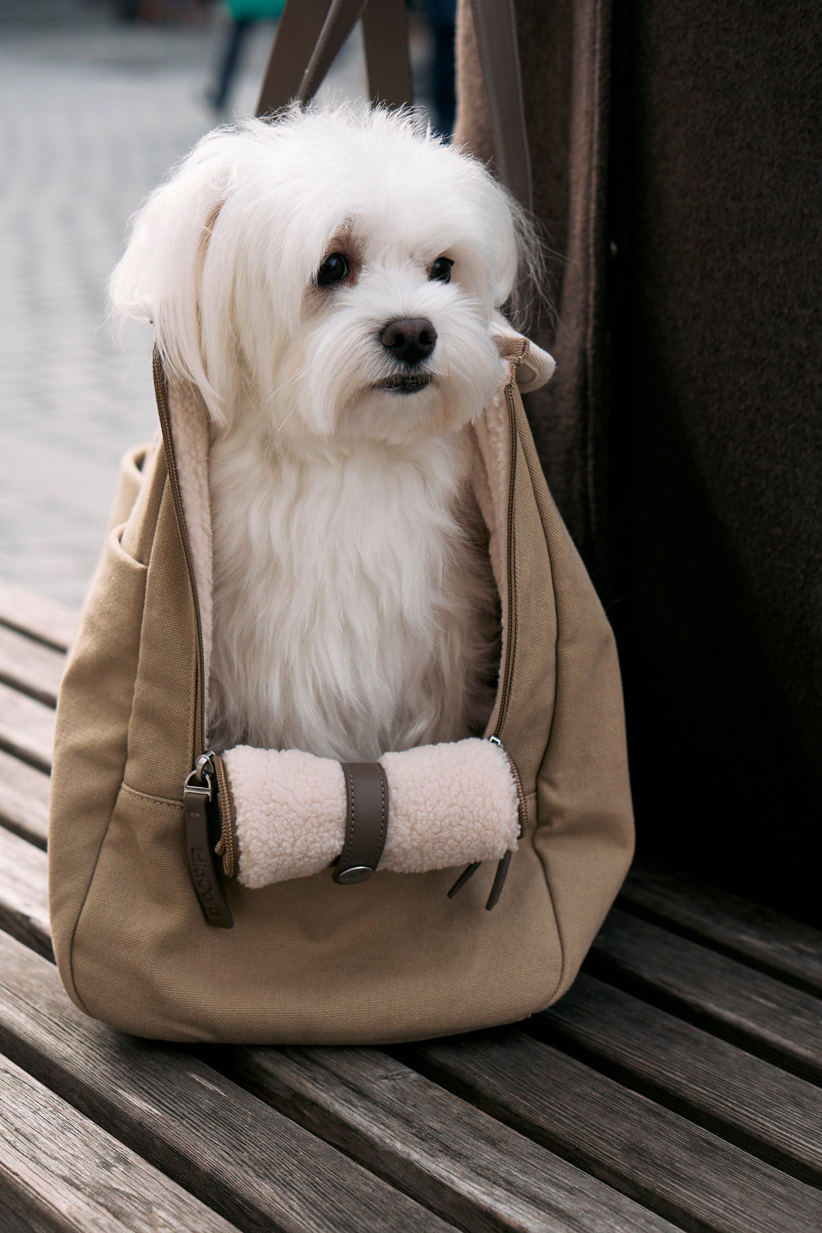 Tasca Dog Carrier - MiaCara