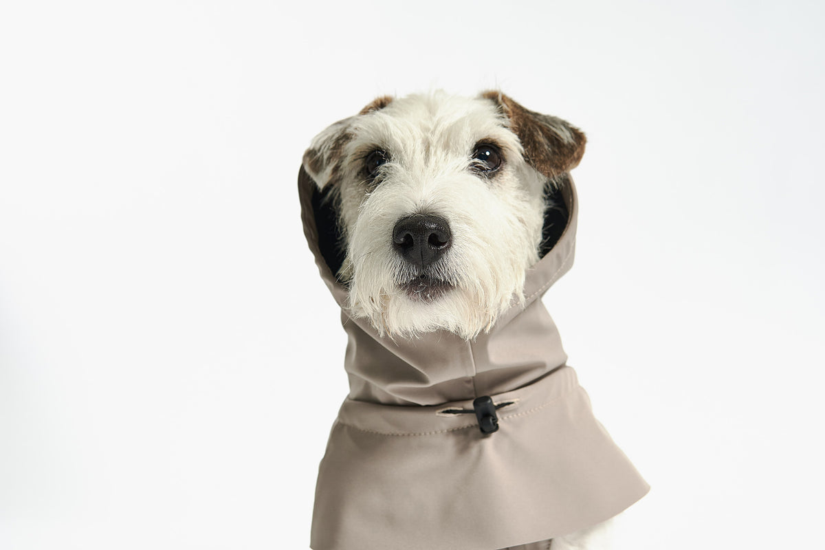 Valentina Dog Rain Coat - MiaCara