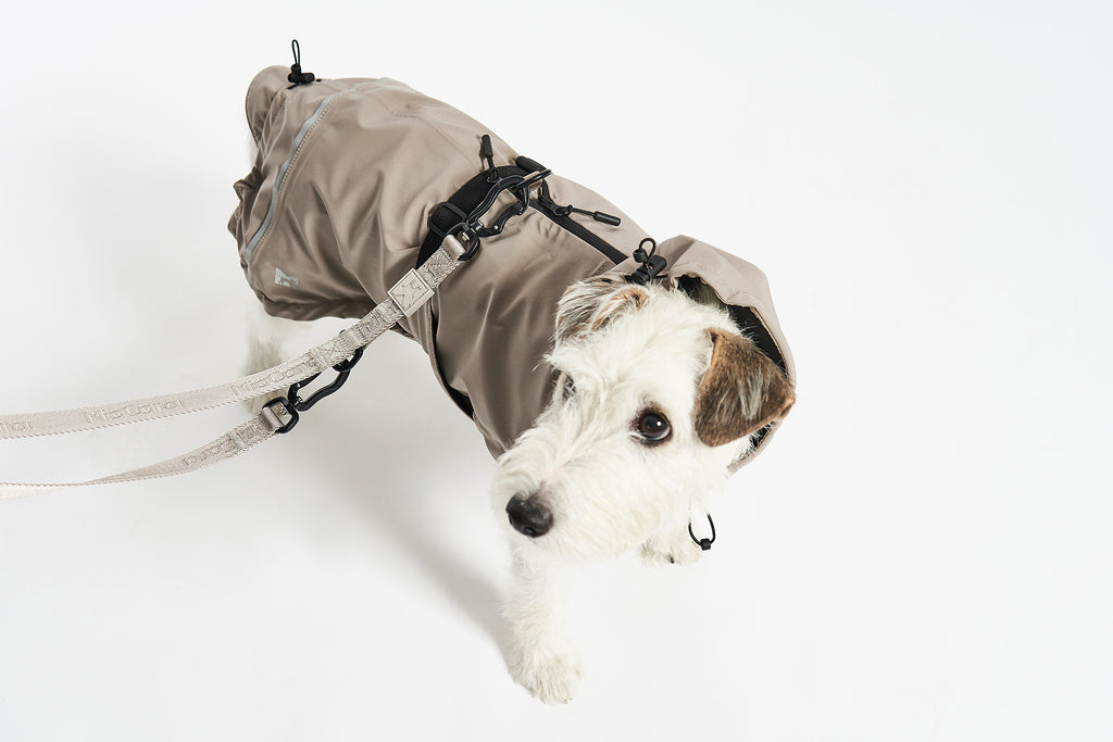 Valentina Dog Rain Coat - MiaCara