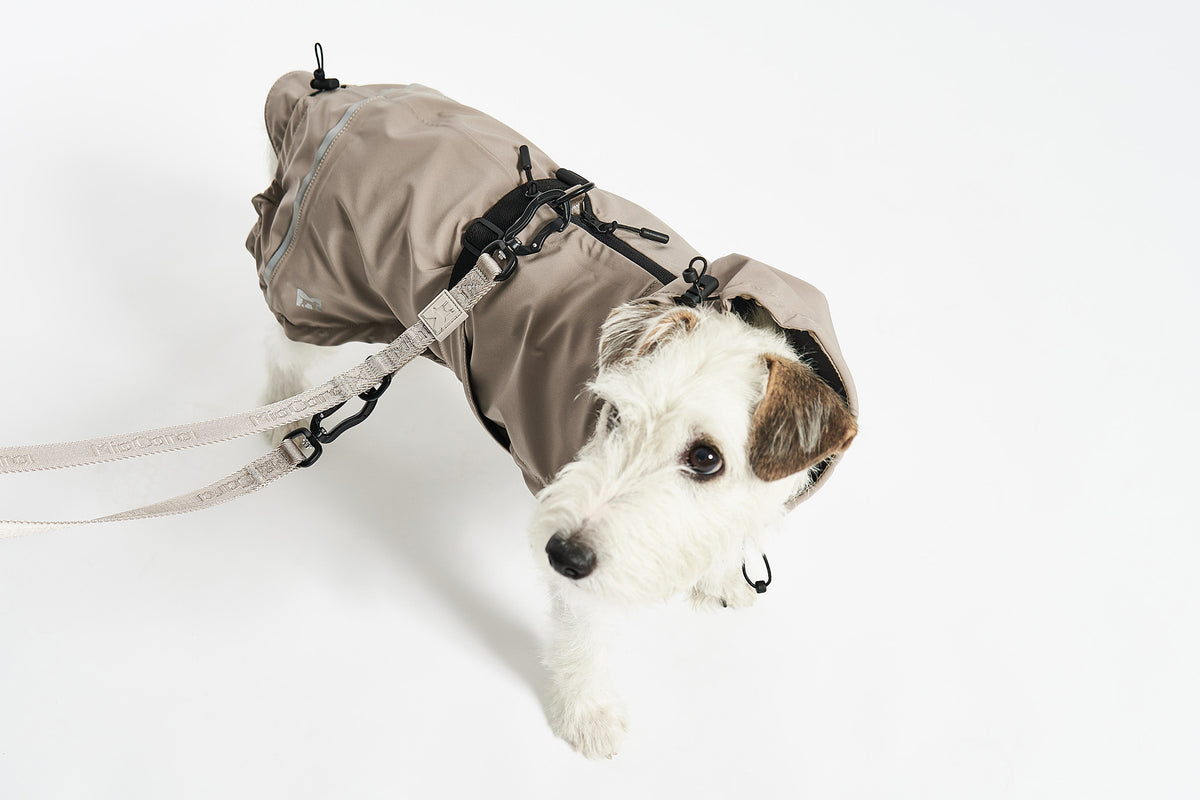 Valentina Dog Rain Coat - MiaCara