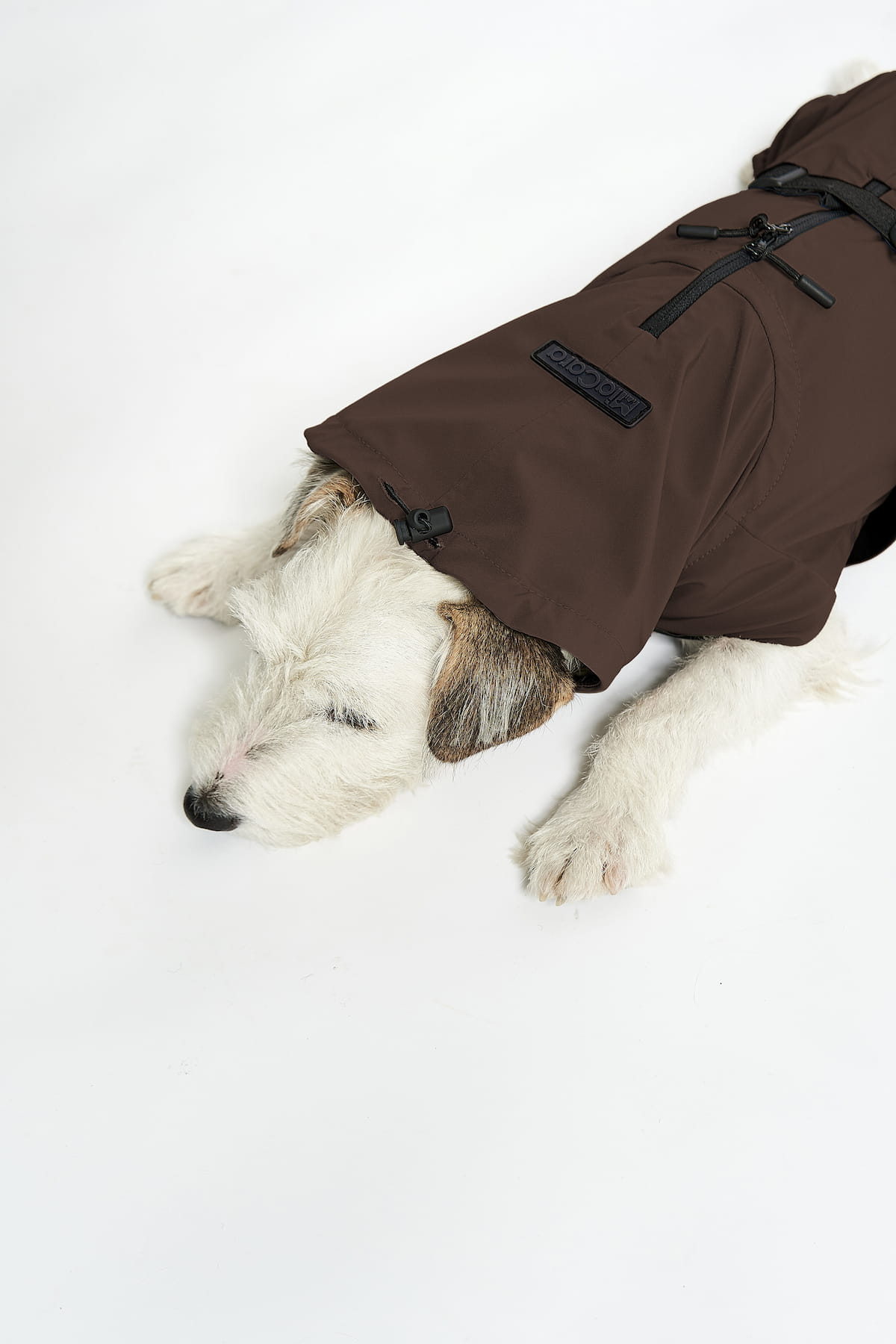 Valentina Dog Rain Coat - MiaCara
