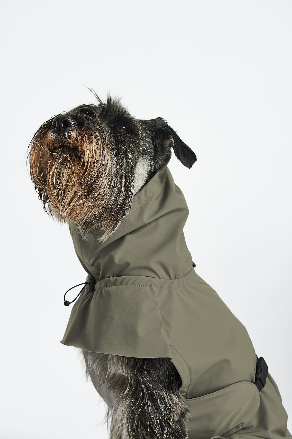 Valentina Dog Rain Coat - MiaCara
