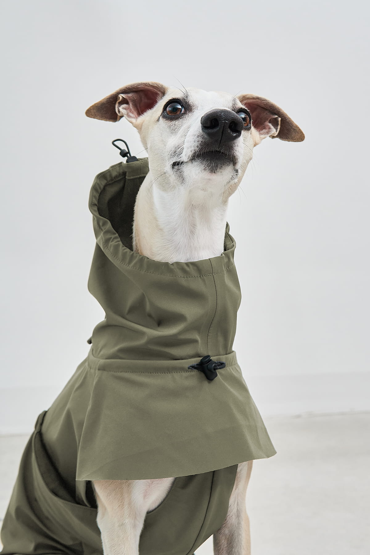 Valentina Dog Rain Coat - MiaCara
