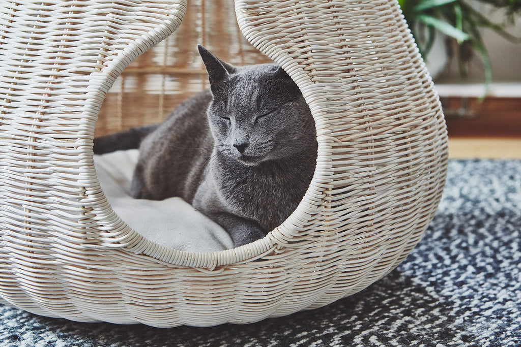 Perla Cat Cave - MiaCara