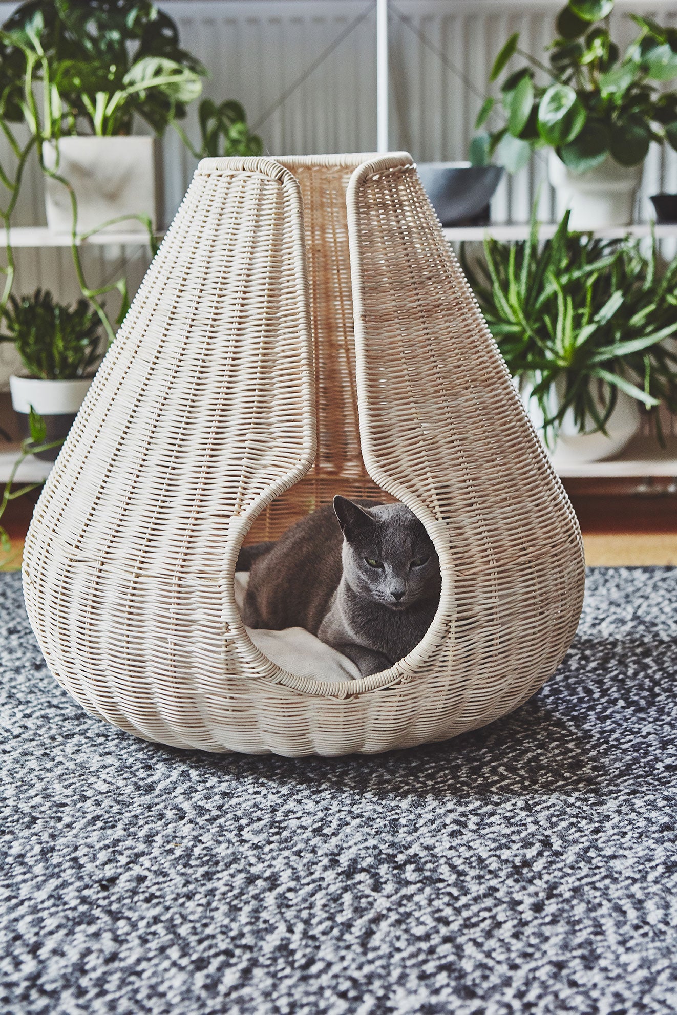 Perla Cat Cave - MiaCara