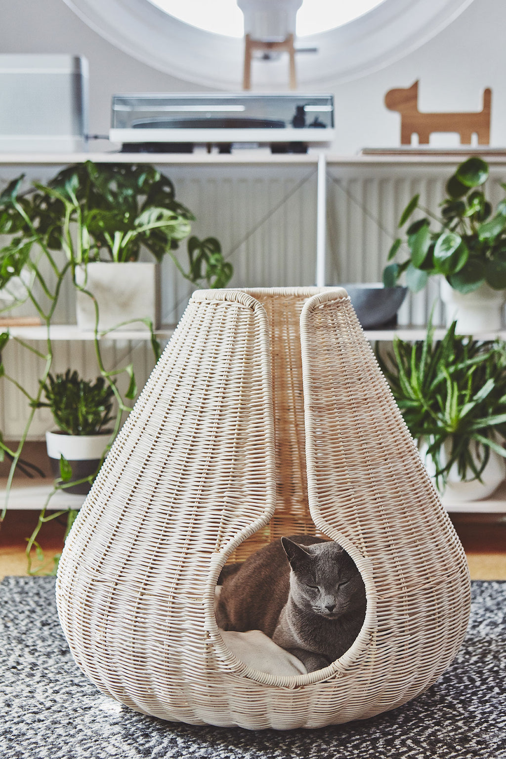 Perla Cat Cave - MiaCara