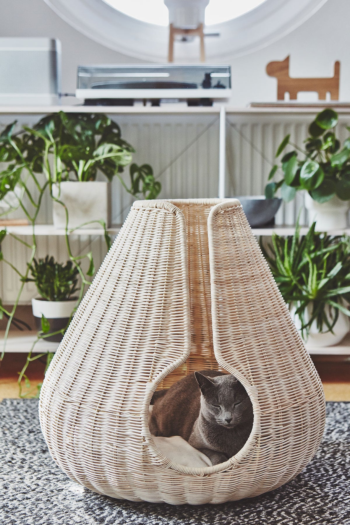 Perla Cat Cave - MiaCara
