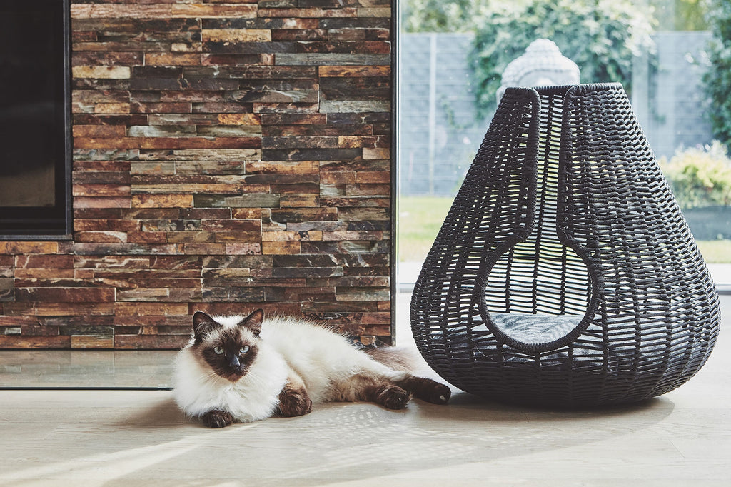 Perla Cat Cave - MiaCara