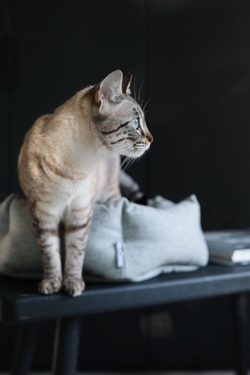 Calma Cat Bolster Bed - MiaCara