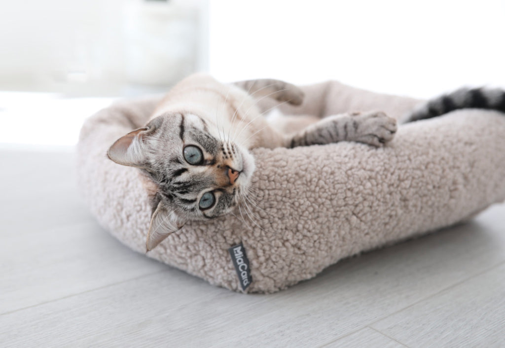 Senso Cat Bolster Bed - MiaCara