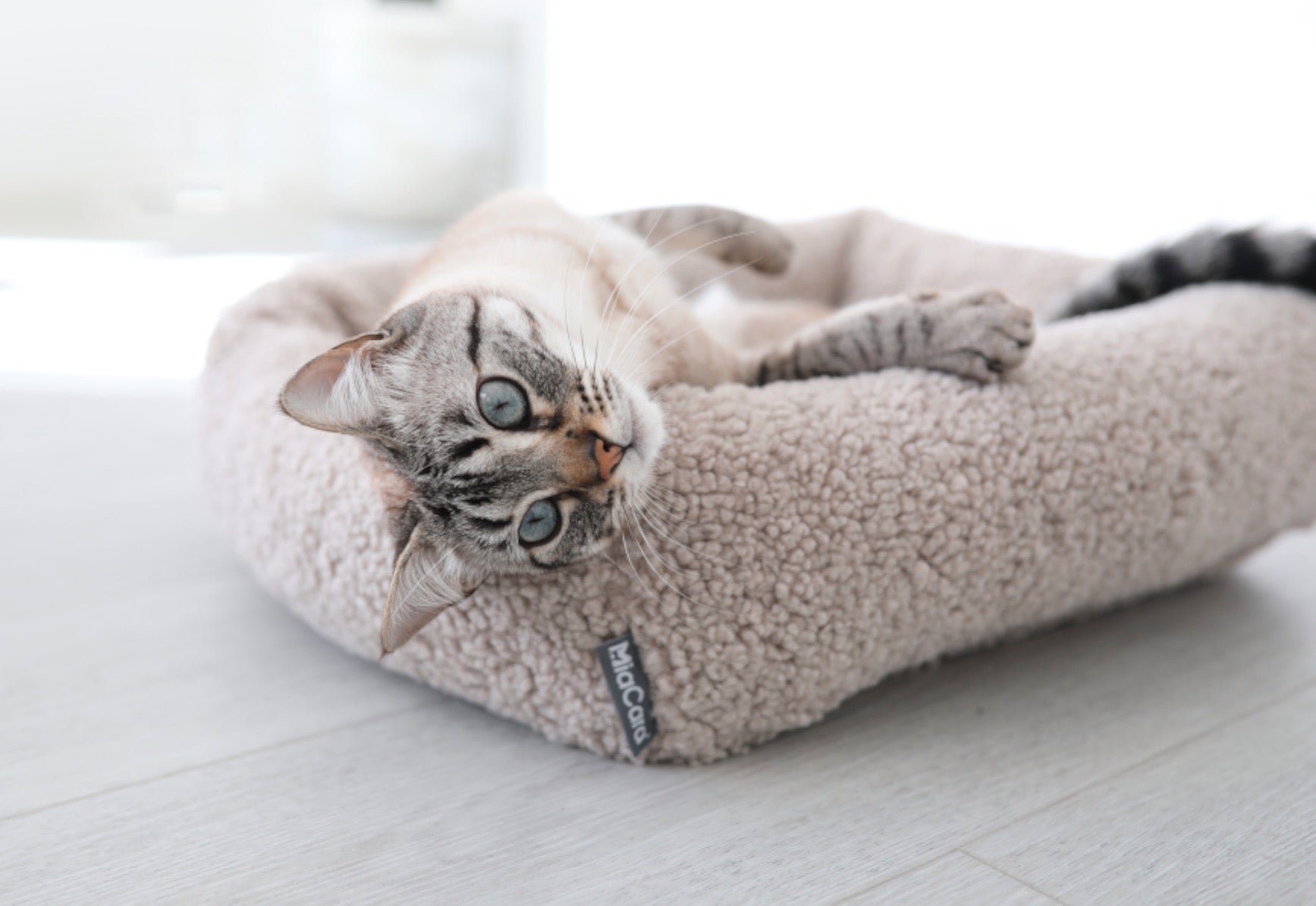 Senso Cat Bolster Bed - MiaCara