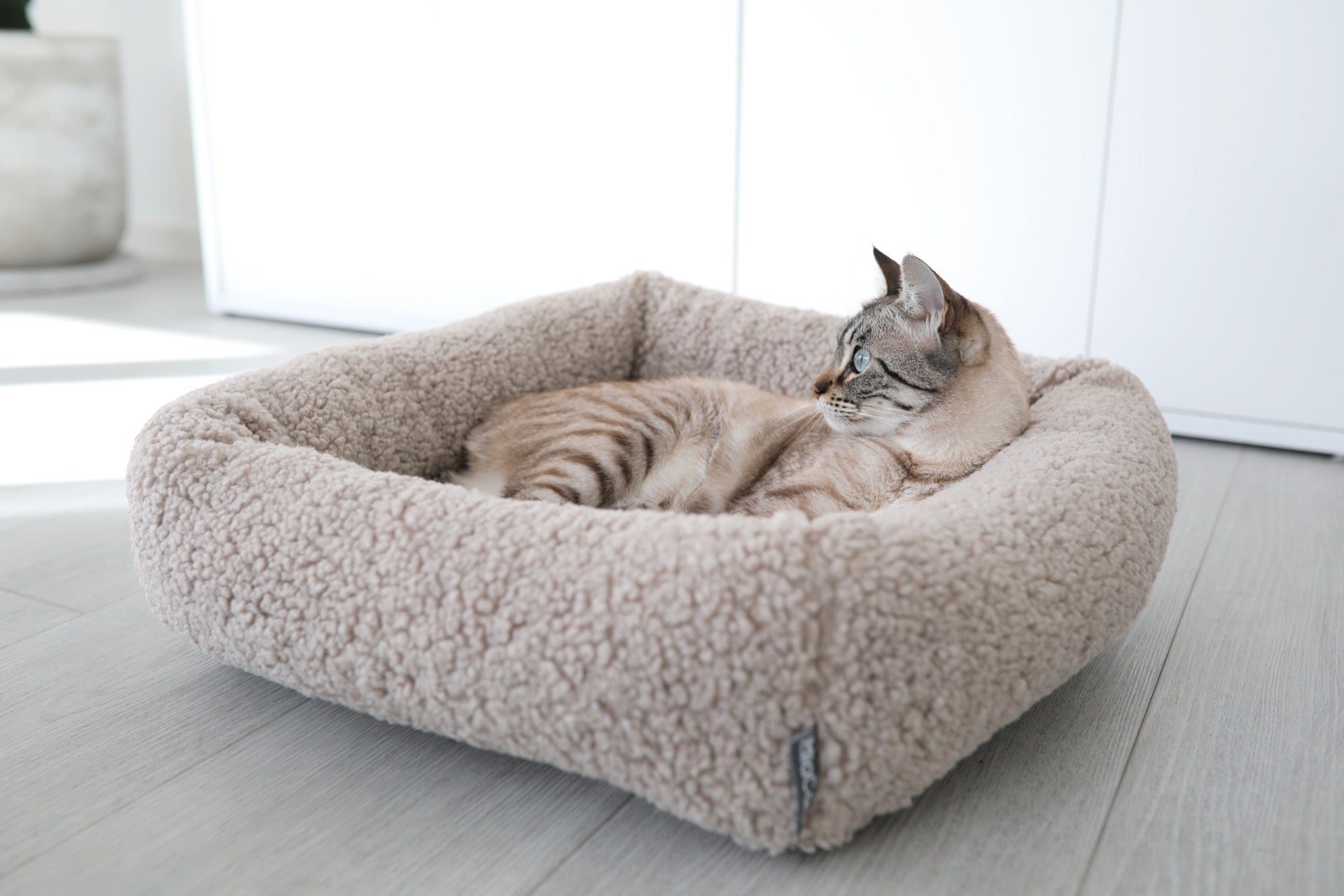 Senso Cat Bolster Bed - MiaCara