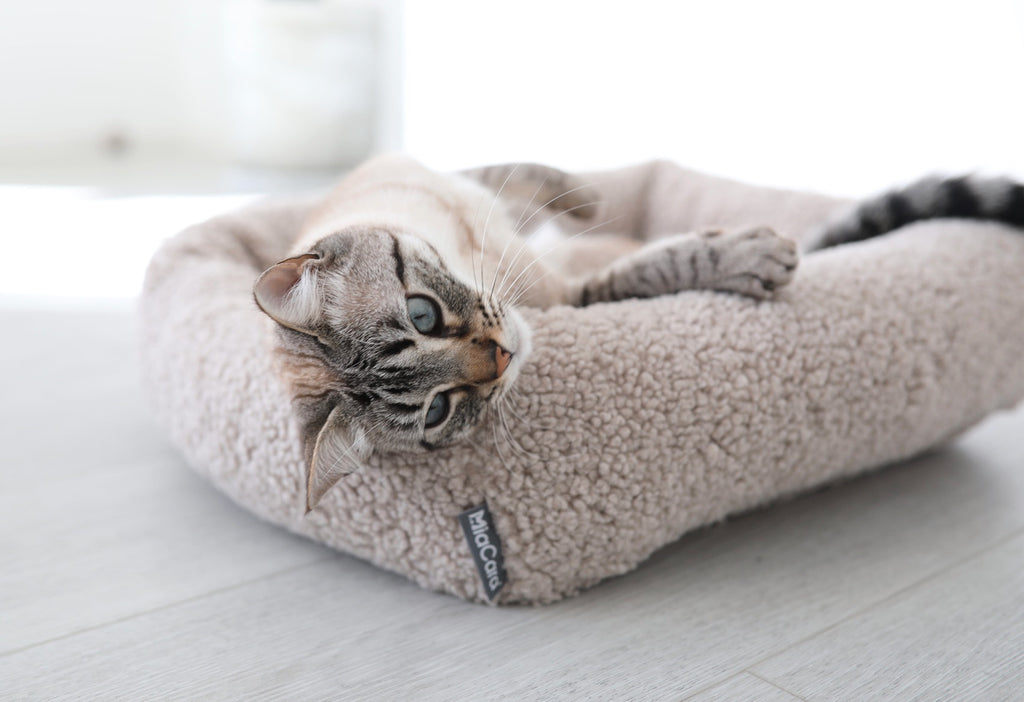 Senso Cat Bolster Bed - MiaCara