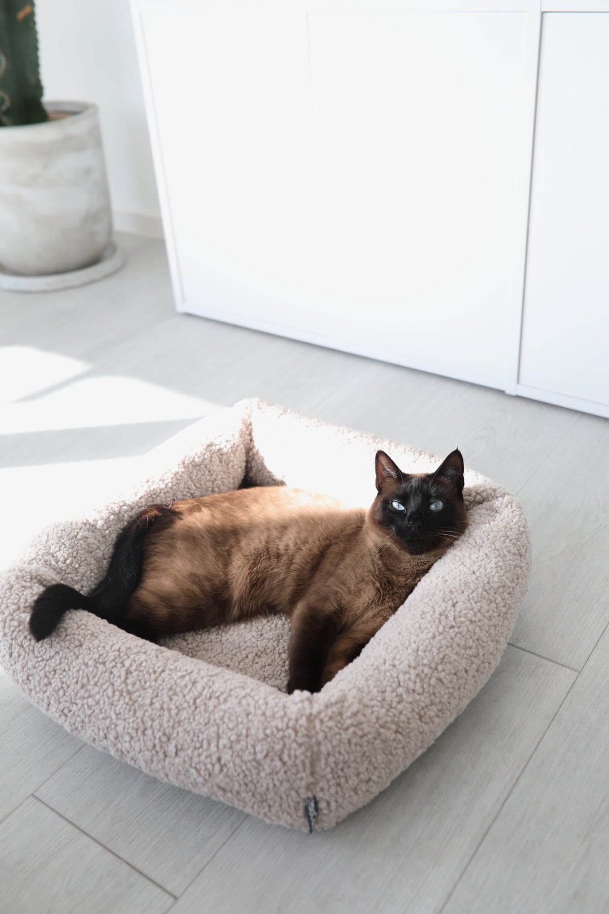 Senso Cat Bolster Bed - MiaCara