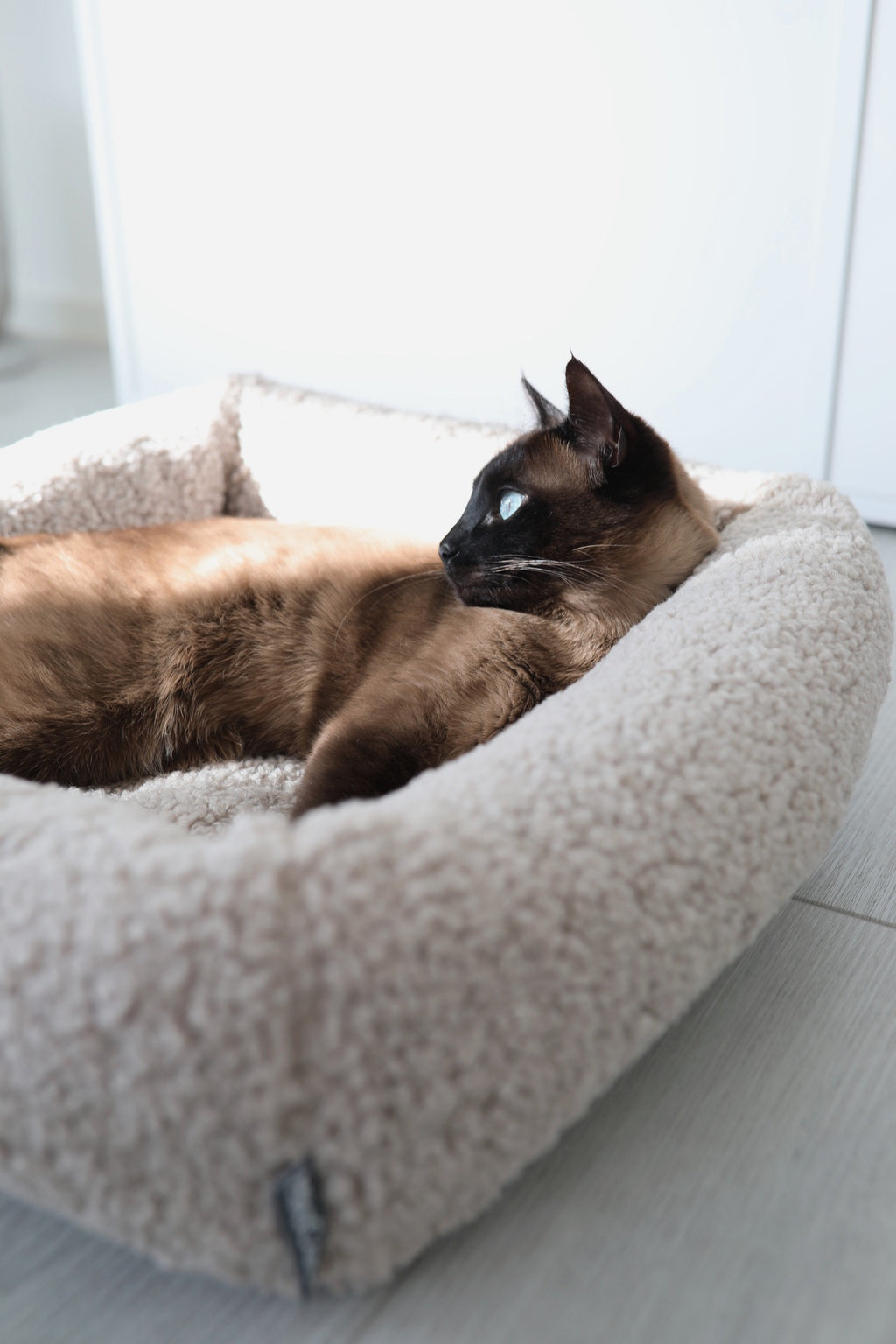 Senso Cat Bolster Bed - MiaCara