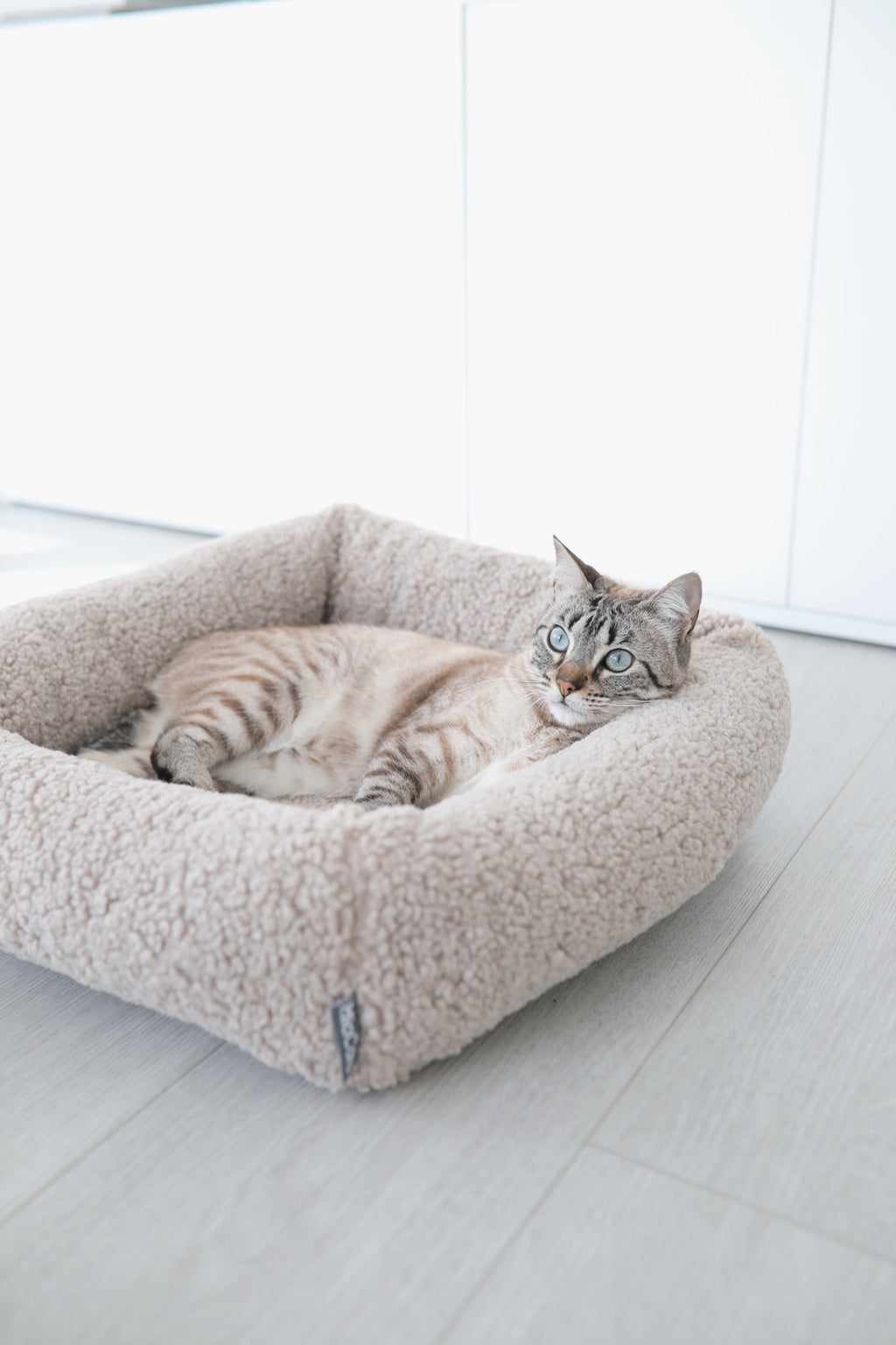 Senso Cat Bolster Bed - MiaCara
