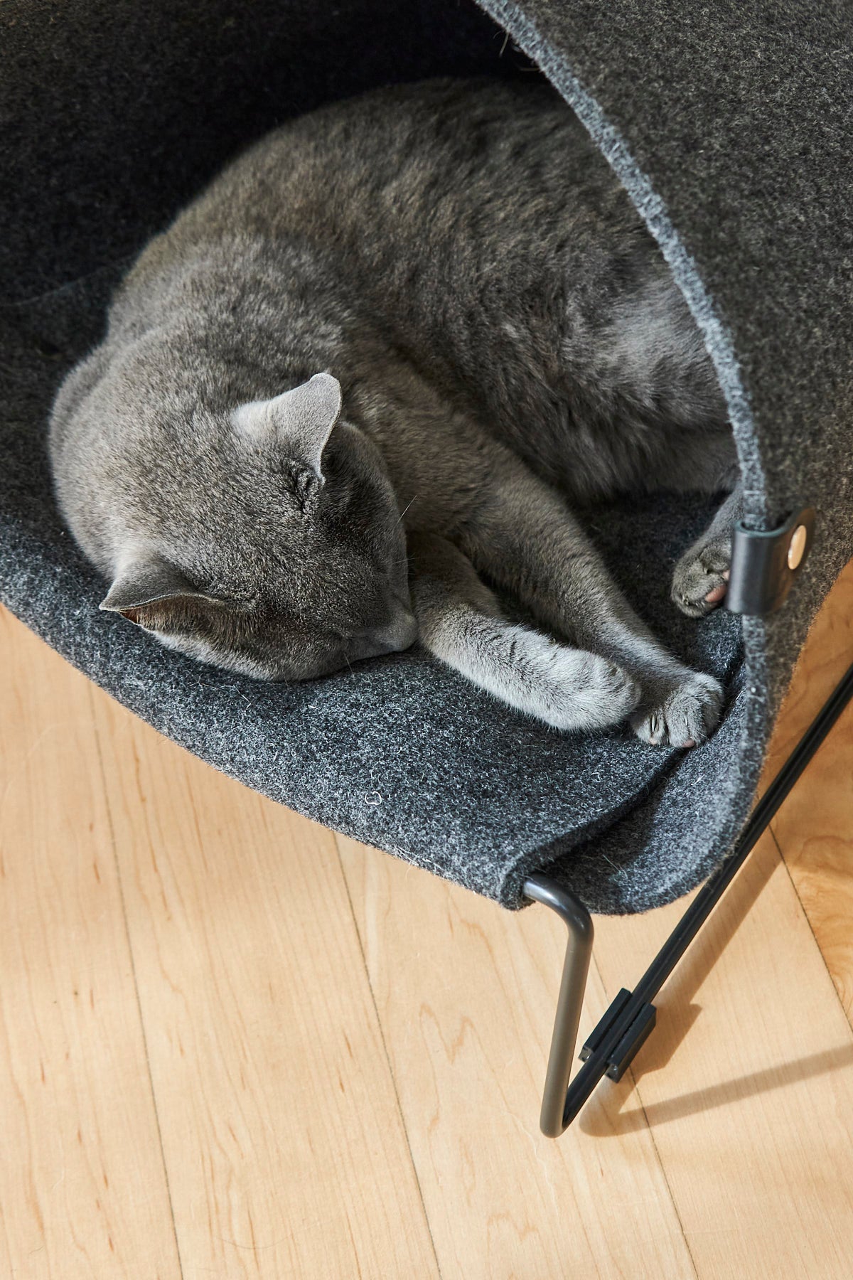 Loggia Cat Cave - MiaCara