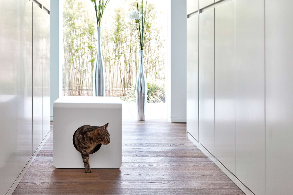 Bauhaus Inspired Sito Litter Box - MiaCara